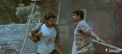 fight fighting gif  cheezburger find share  giphy