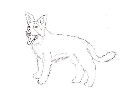 Dog Drawing – Inu Games