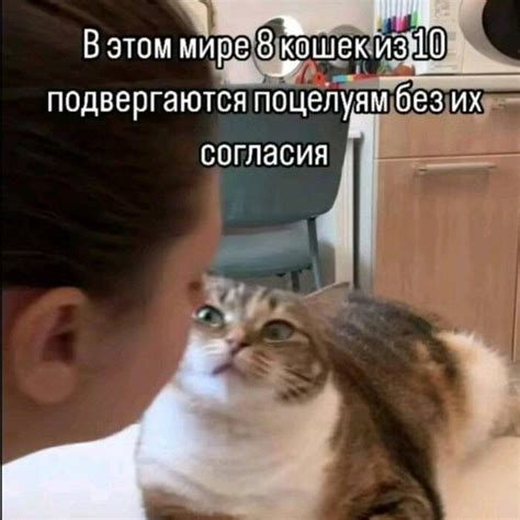 Поцелуи | Пикабу