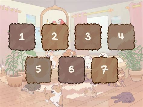 boxes     unit  animals cards open  box
