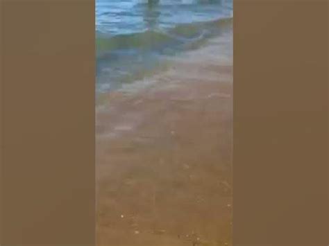 Морская водичка - YouTube
