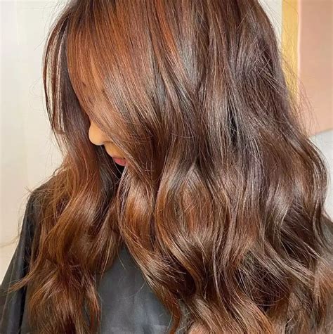 gorgeous chestnut shades  add warmth  hair  style code