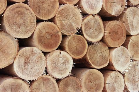 cedar post system equine