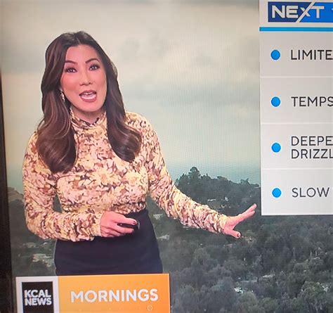 Amber Lee KCAL 9 Los Angeles : r/CurvyNewsWomen