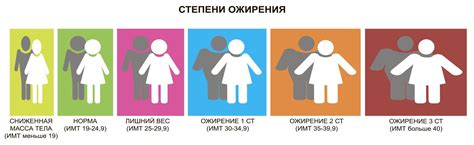 Лечение ожирения под контролем врача эндокринолога-диетолога в клинике ...