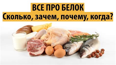 Белок основа сбалансированного питания человека. Белок для похудения и ...