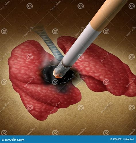 Smoking Effects On Lungs And Heart