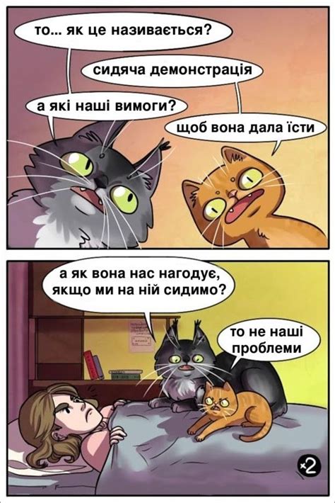 Смішний малюнок Коти хочуть істи | Comic books, Comic book cover, Book ...
