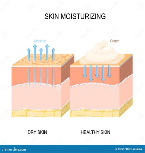 Skin Moisturizing. Dry and Healthy Skin with Cream, Foam or Lotion
