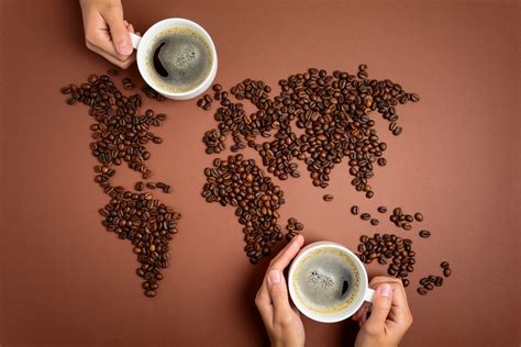 Apasionados por el Café Cómo hacer café