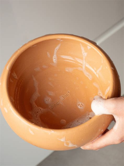 how to clean dog bowls