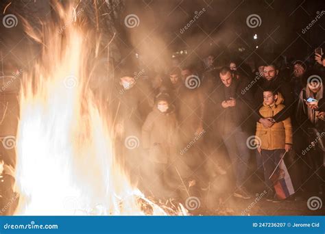 The Badnjak Veseljak Is A Tree Branch Or Entire Tree That Is Central To ...
