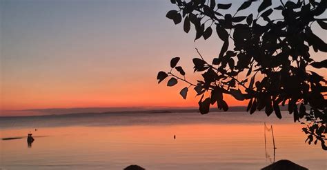 photo  wooden sun shades   beach  dusk  stock photo