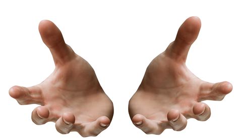 Протянутые руки в png на прозрачном фоне