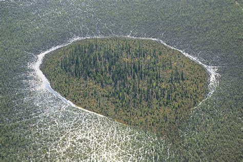 Muskeg Forest Island | Beautiful Destruction