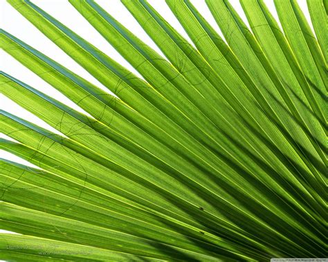 range  uhd wallpaper  ultrahd desktop  tv widescreen