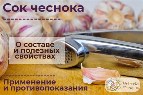 Чем полезен сок чеснока: свойства и рецепты