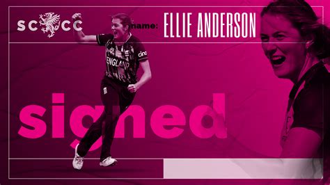 Somerset Sign Ellie Anderson - Somerset