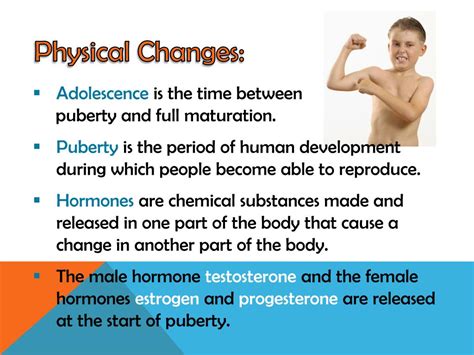 puberty powerpoint    id