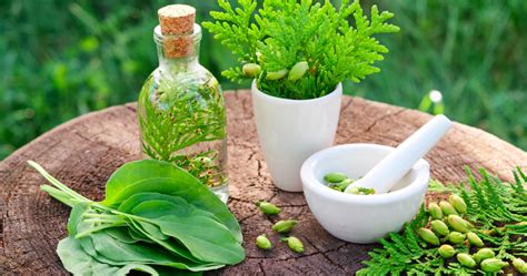 Naturopathe : c'est quoi ? Bienfaits et guide de la naturopathie