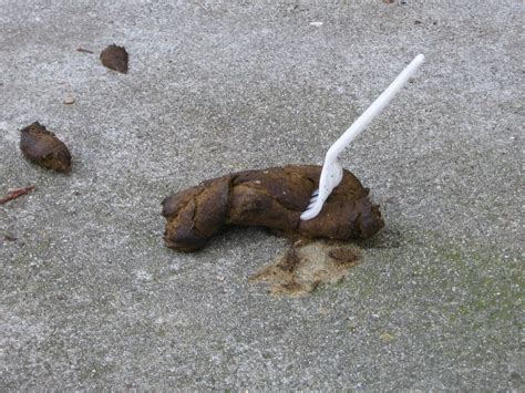Flagging or Marking Dog Droppings | Dog Doo Rants