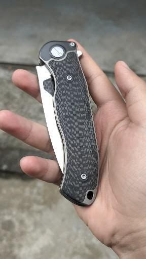 Maxace killer whale – Artofit