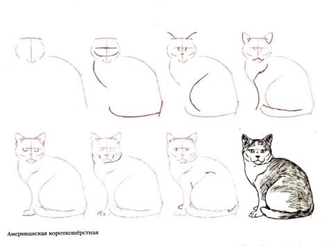 Как нарисовать кота | Рисование в Фотошопе | Кошачий эскиз, Рисовать ...