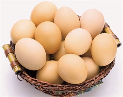 Are all your eggs in one basket? - Young & Haggis Insurance Services Ltd