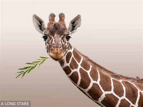 Speaker - Steve Brabner - The Stories Behind My Favourite Images ...