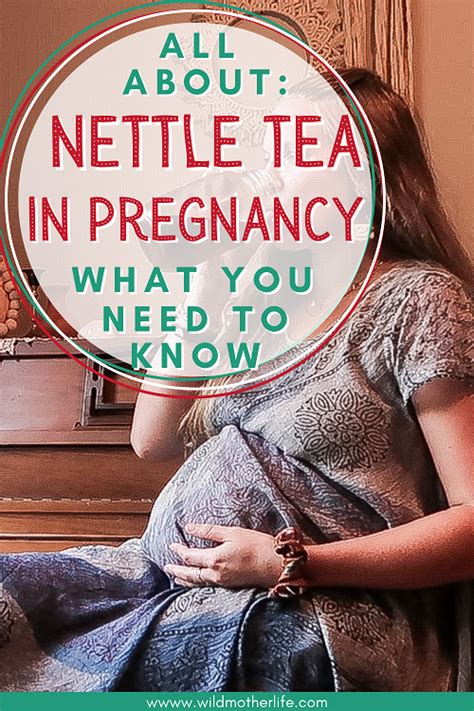 Tseacort and Pregnancy: What You Need to Know - xhicjfn