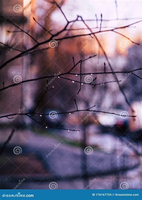 Rainy Weather in a Real Russian Courtyard Stock Photo - Image of ...