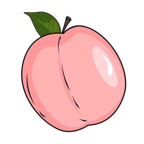 clip art of peach 11