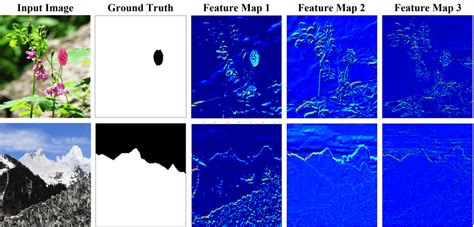 Visualizations of 30 kernels in the first convolutional layer. (a ...