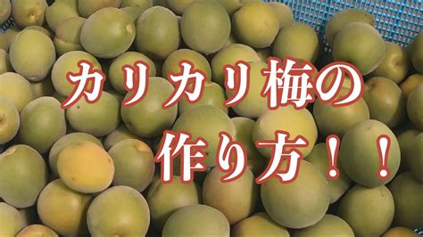 【カリカリ梅の作り方】簡単に作れて保存が利く！！ - YouTube