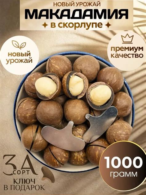 Орехи Макадамия Royal Nuts в скорлупе + ключ в комплекте 1 кг — купить ...