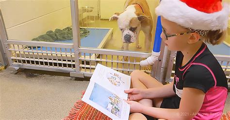 Something Really Heartwarming Is Happening At This Missouri Animal Shelter – Animal Rescue Society