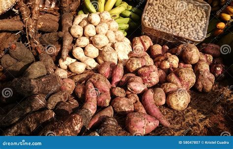 philippine vegetable seeds