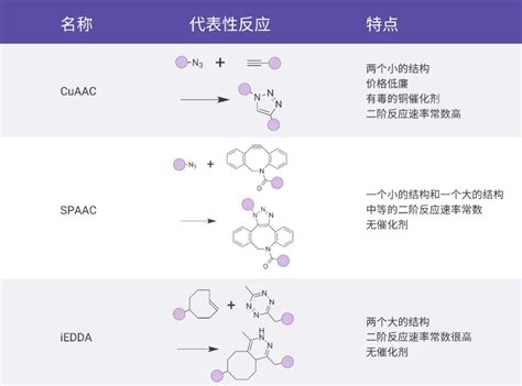 靶向治疗！获诺奖的 “点击化学” 原来可以这么用 - MedChemExpress-技术前沿-资讯-生物在线