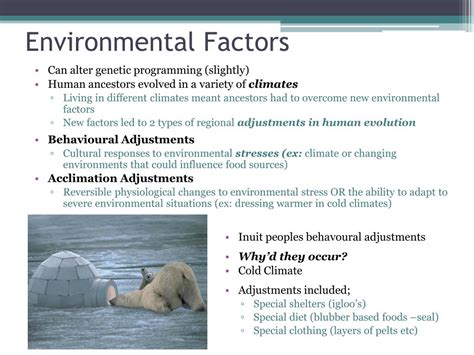 PPT - Explaining Human Behaviour & Culture PowerPoint Presentation - ID:2391220