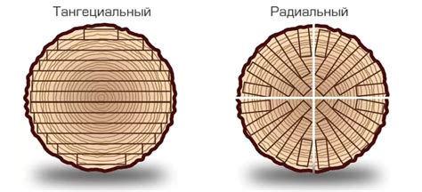 Виды распила доски: тангенциальный и радиальный распил