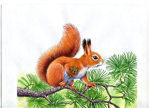 Иллюстрация Белка в стиле классика | Illustrators.ru
