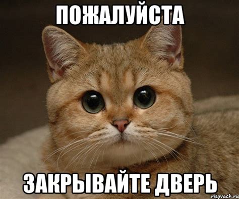 пожалуйста закрывайте дверь, Мем Пидрила Ебаная - Рисовач .Ру