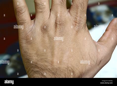 hand stock photo alamy