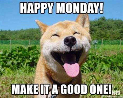 30 Best Memes To Start Monday The Right Way - SayingImages.com