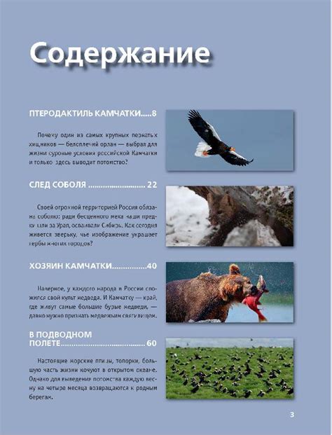 Книга: Дикие животные России - . Купить книгу, читать рецензии | Лабиринт