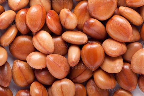 Cassia Fistula seed 1262990 Stock Photo at Vecteezy