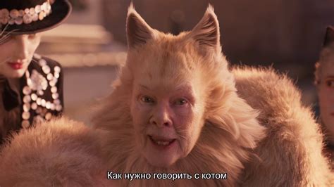 Кошки. - YouTube