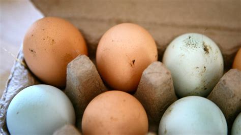 Цены на продукты в России неуклонно растут, но куриные яйца подешевели ...