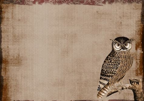 Download Background, Owl, Collage. Royalty-Free Stock Illustration ...