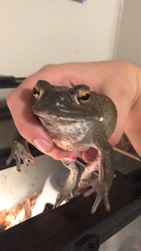 tips for frog biting easily 3